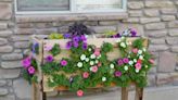 35 DIY Garden Ideas to Upgrade Your Backyard