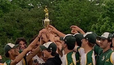 Baseball: North Hunterdon wins H/W/S/T title on Hernandez's walk-off homer in the 11th