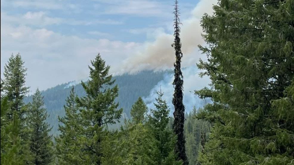 Wolf Creek fire evacuation lifted; Snag Fire threatens Warm Lake area