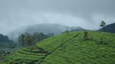‘Bring Manjolai tea estate, workers under TANTEA to ensure livelihood’