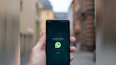 La aplicación de WhatsApp sumó cinco nuevas funciones para sus estados: de notas de voz a la vista previa