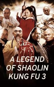 a legend of shaolin kung fu 3