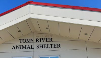 'Hostility and disdain': Toms River mayor, animal shelter supporters in showdown deadline