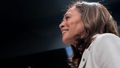 Kamala Harris tiene dos semanas para elegir a su compañero de fórmula