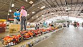台南芒果產量減7成 價格貴2至3倍