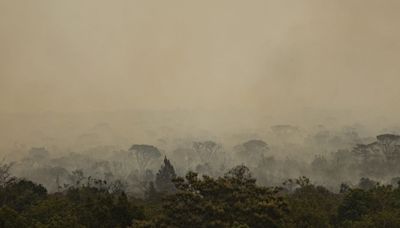 Parque de Brasília: fogo se torna subterrâneo mas pode voltar à superfície