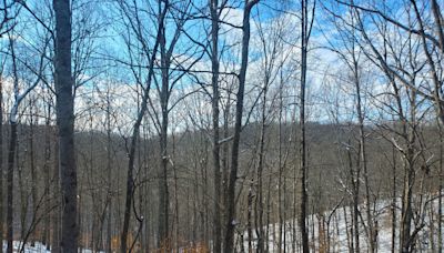 Nashville is home to world's largest urban forest. Conserving Highland Rim Forest is key