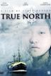 True North