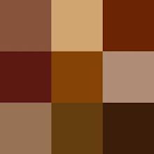 Shades of brown