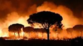 Incendio de Doñana (2017): El juzgado investiga a tres personas relacionadas con la carbonera de Moguer por un presunto delito de incendio forestal por imprudencia grave