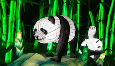 Tianfu Kungfu: así es el nuevo festival de luces chinas en Santiago