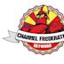 Channel Frederator Network