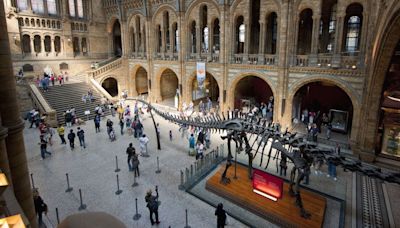 Natural History Museum to overhaul dinosaur exhibit for new climate display