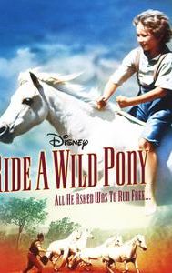 Ride a Wild Pony