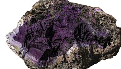 "Incredibly rare" ancient purple dye that was once worth more than gold found in U.K.