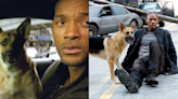 I am Legend 2 producer makes major admission confirming theory about original movies ending