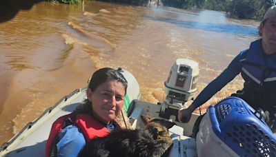 Grupos atuam no resgate de animais afetados pelas chuvas no Rio Grande Sul; veja como ajudar