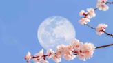 It's Almost Time For April's Pink Moon