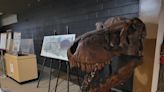 Who needs Jurassic Park? Charlotte-area museum to welcome its own ‘Hall of Dinosaurs’