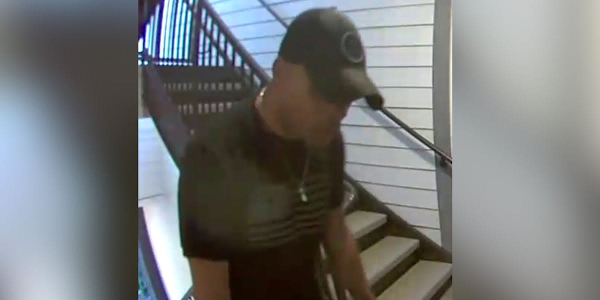 Police searching for Franklin porch pirate caught on camera