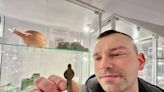 Metal detectorist stumbles on rare medieval artifact — one of only 15, photos show