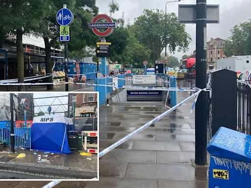 Third teenager arrested after man stabbed and left fighting for his life at Seven Sisters station