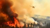 El cambio climático así afecta la salud de la población mundial