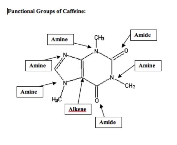 caffeine structure look like nucleotide