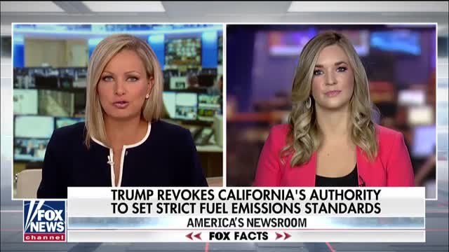Katie Pavlich On The Cost Of Democrats Climate Change Plans