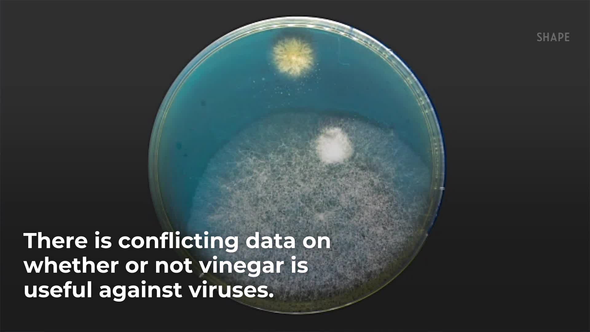 does-vinegar-kill-viruses