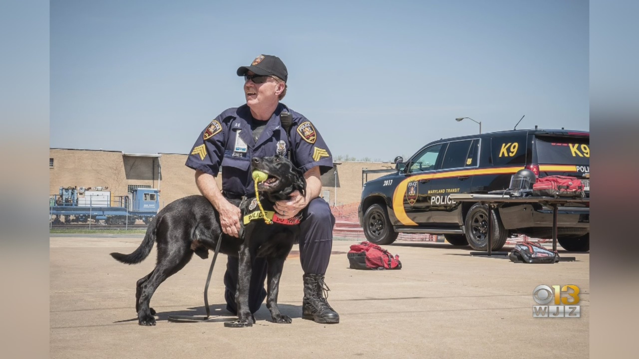 Ptl. Tippin named 2019 Officer Of The Year