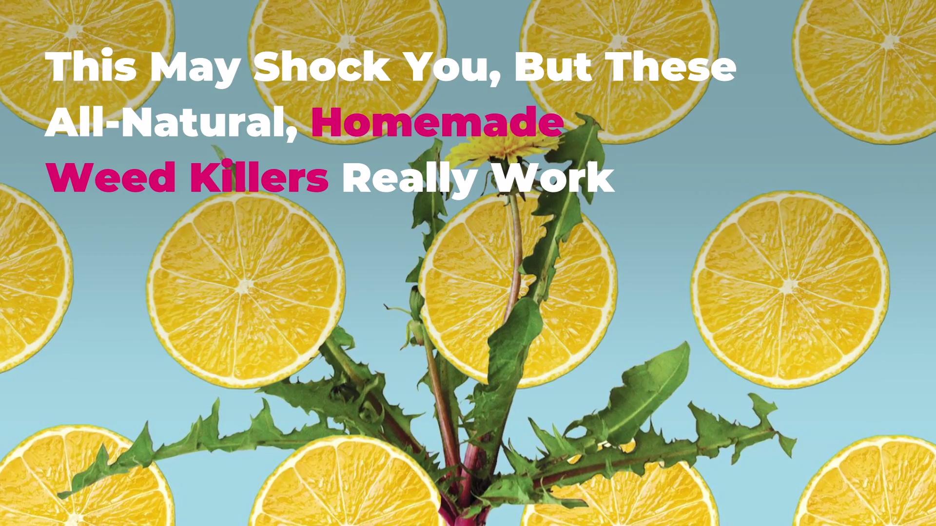 this-may-shock-you-but-these-all-natural-homemade-weed-killers-really