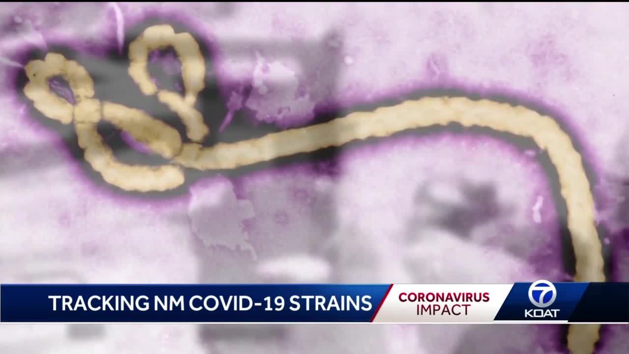 Where did the COVID  19  cases  in NM  come from 