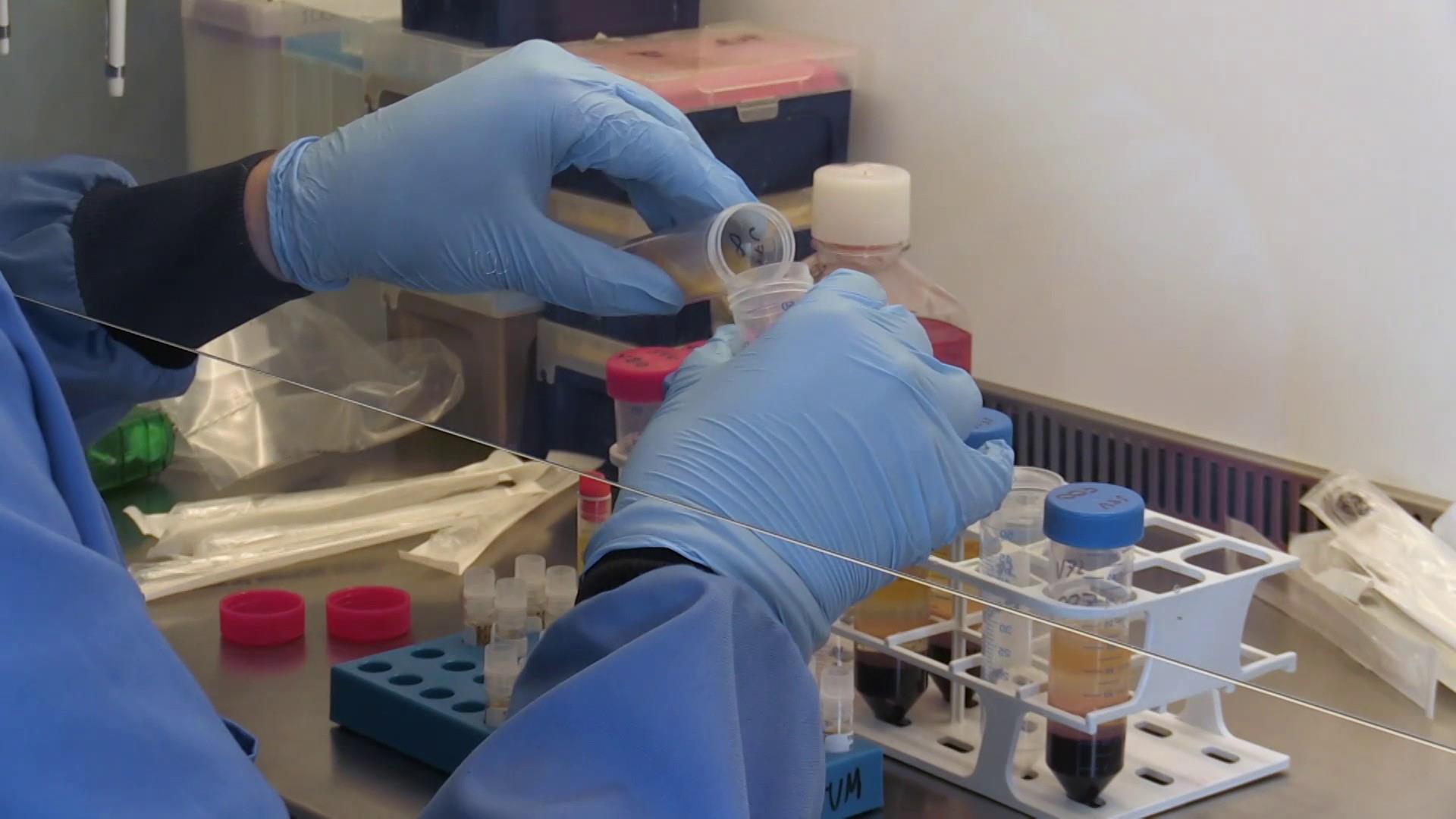 Oxford to test possible coronavirus vaccine on 10,000 people