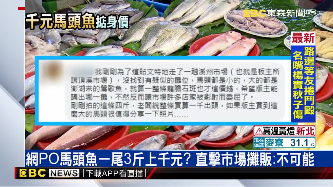 網po馬頭魚一尾3斤上千元 直擊市場攤販 不可能