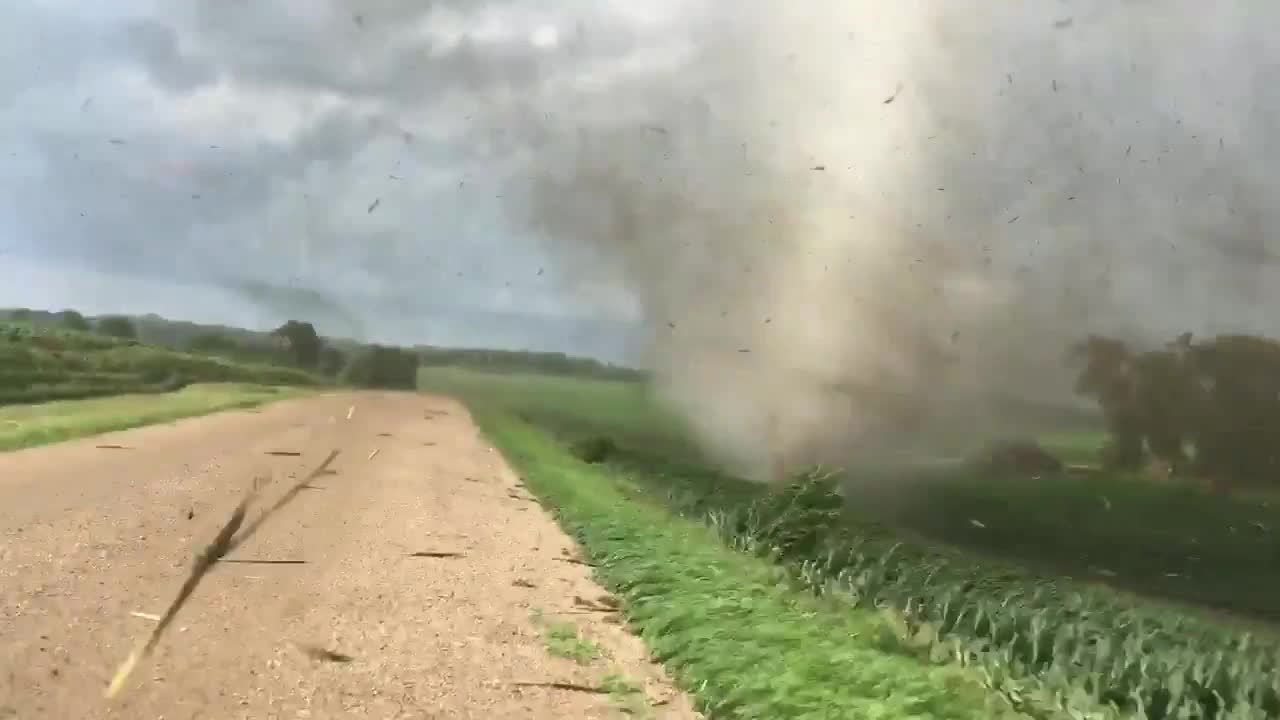 Storm chaser кто это