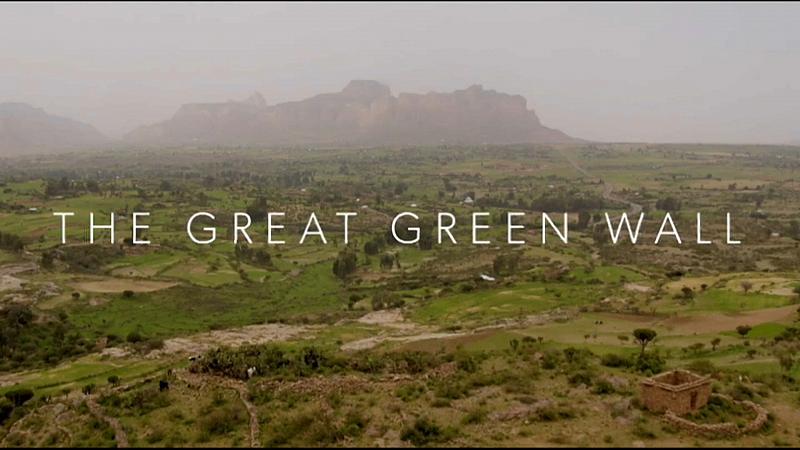 The Great Green Wall Documentary Aims To Raise Awareness Of Troubled