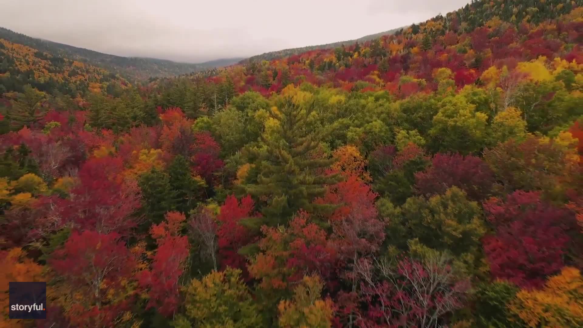 Drone Captures Vibrant Fall Foliage Across New Hampshire's White Mountains