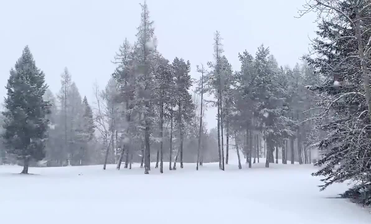 Winter Storm Brings Snowfall to Northwestern Montana