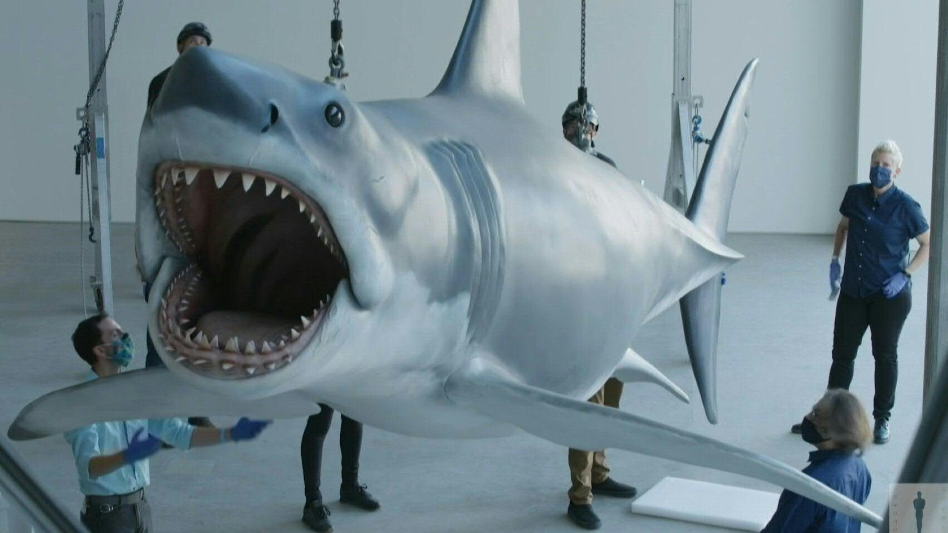 Le Requin Des Dents De La Mer Pret A Terroriser Les Visiteurs Du Musee Des Oscars