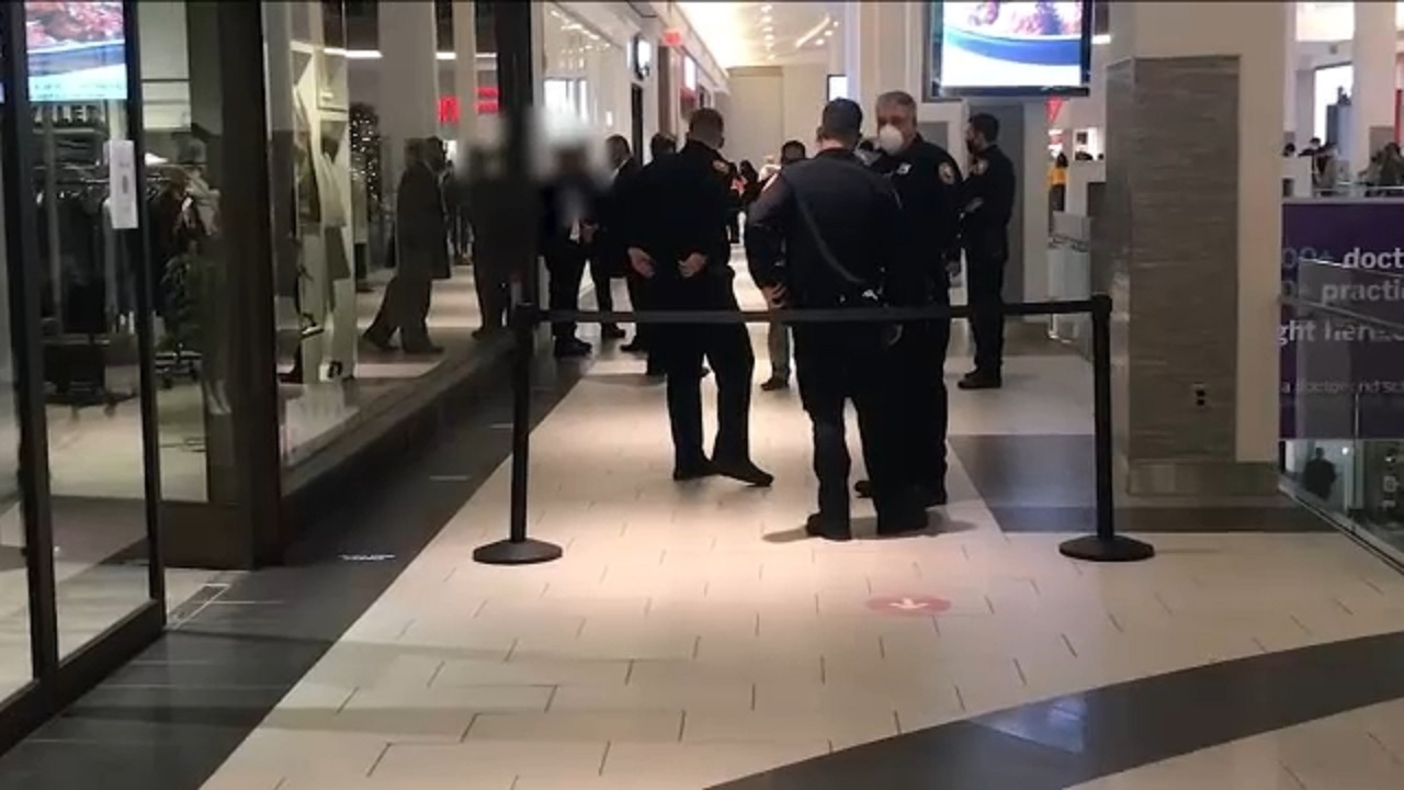 sneaker store in roosevelt field mall