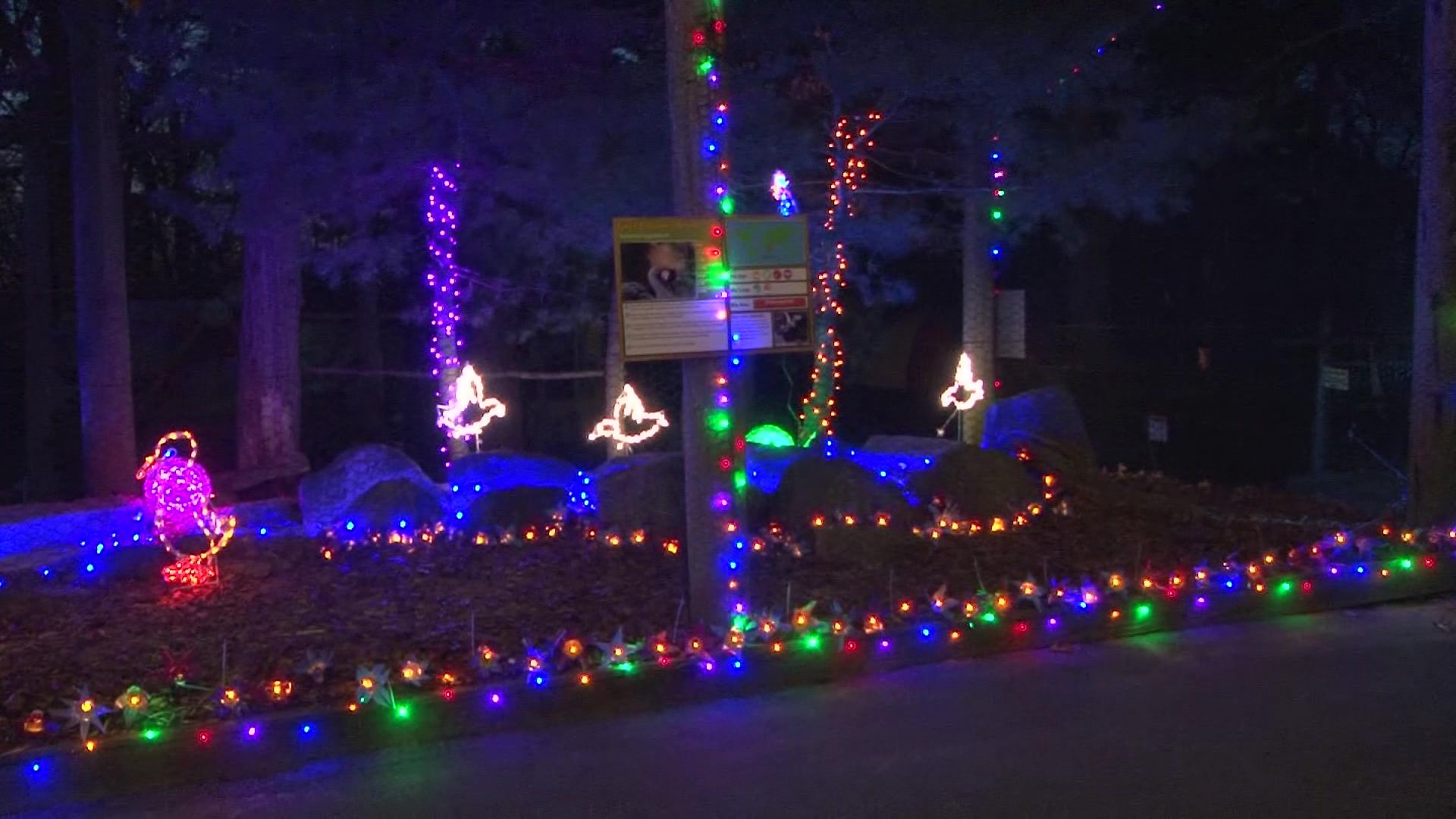 Southwick's Zoo annual drivethru holiday lights celebration underway.