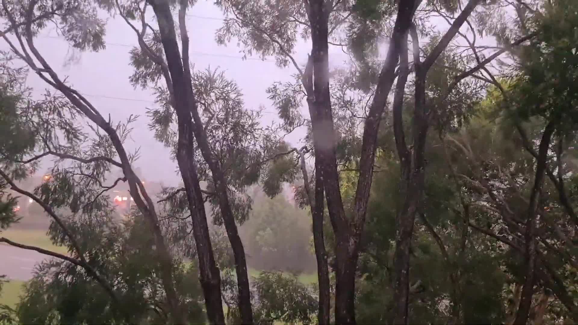 Power Cuts and Travel Delays Reported During Sydney-Area Storm