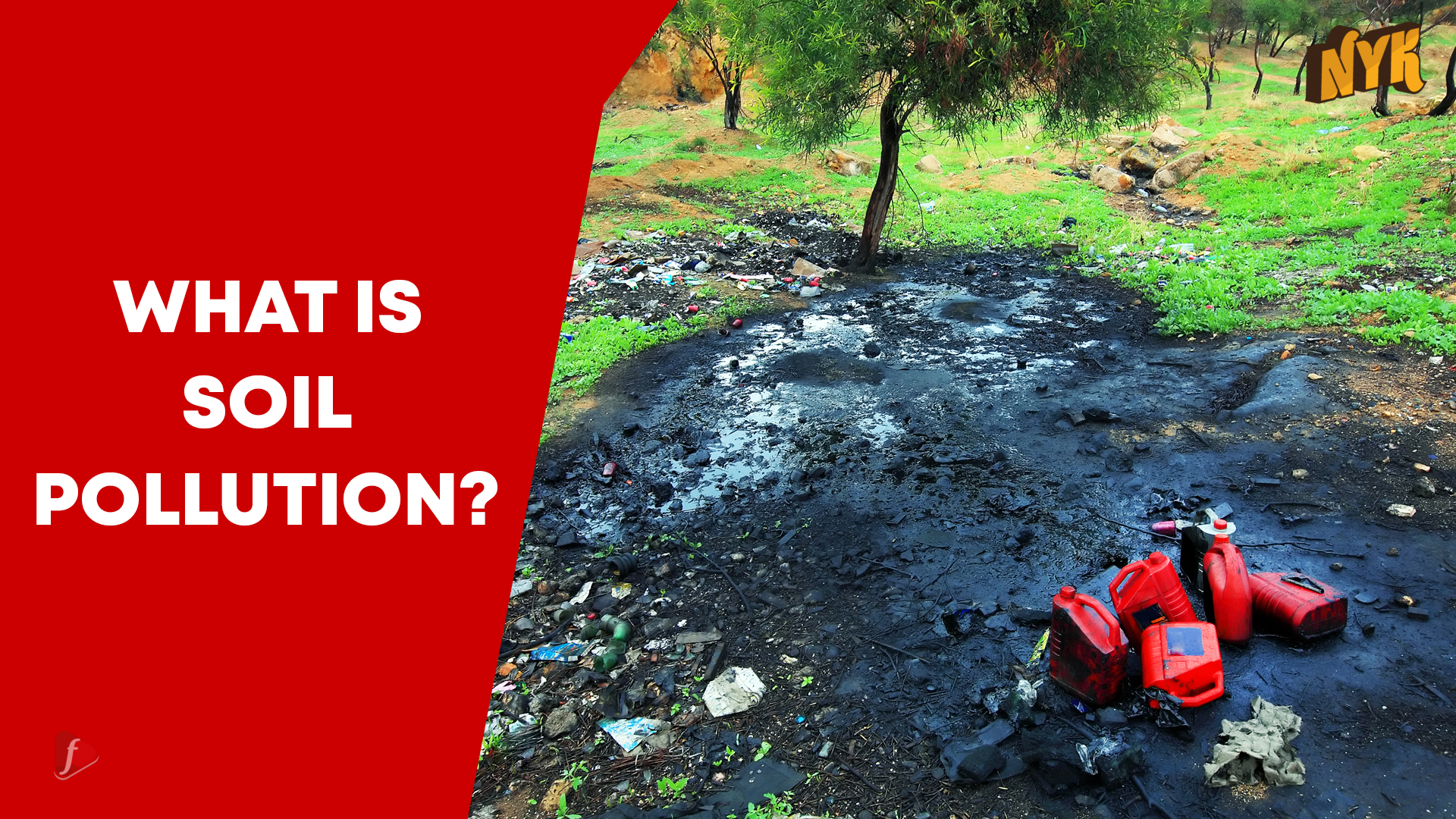 what-is-soil-pollution