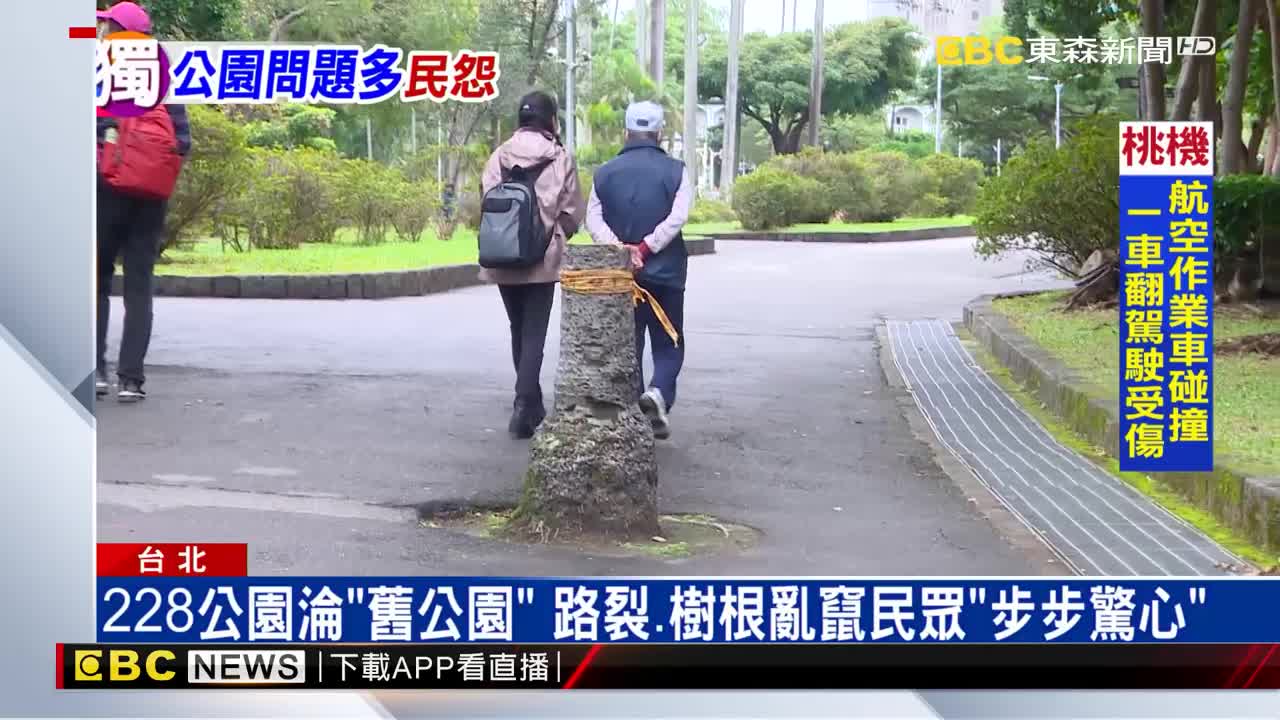 228公園淪 舊公園 路裂 樹根亂竄民眾 步步驚心