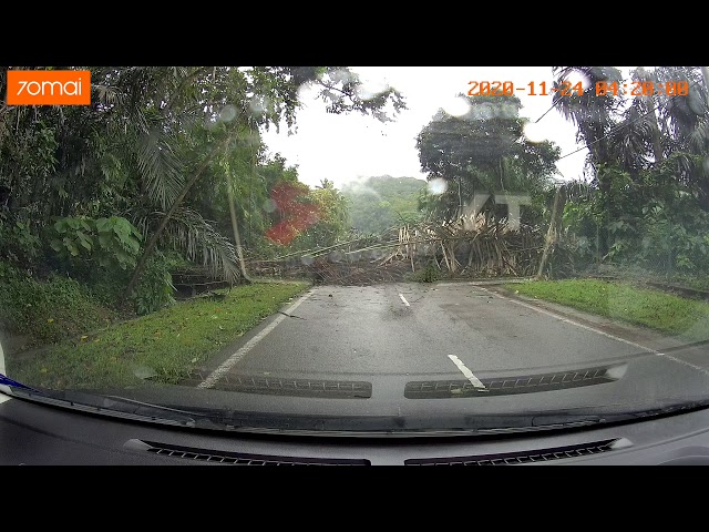 Car Near Miss  Almost Hit  By Tree Dashcam