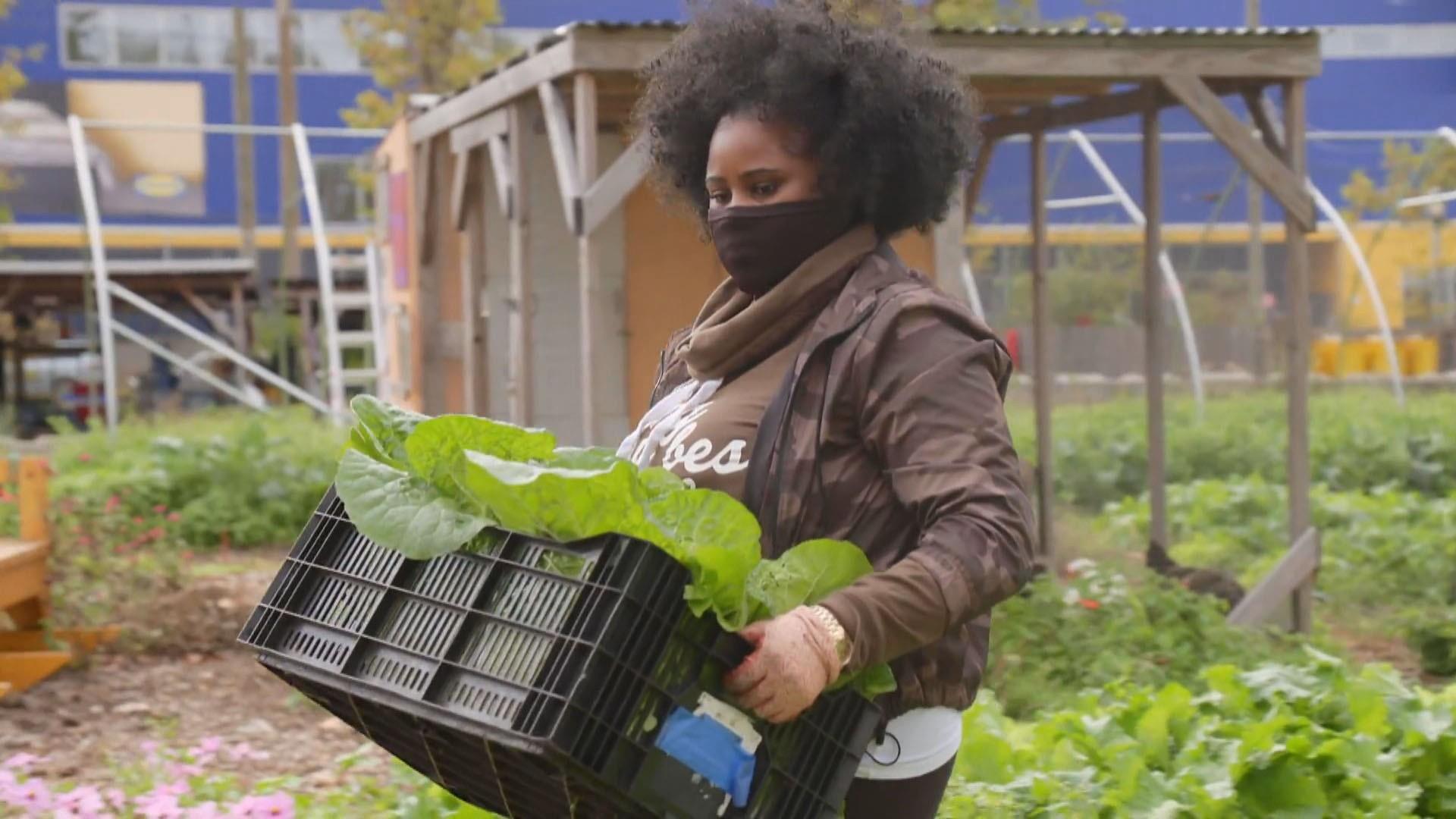 Urban farms perform to get healthier foods to their communities