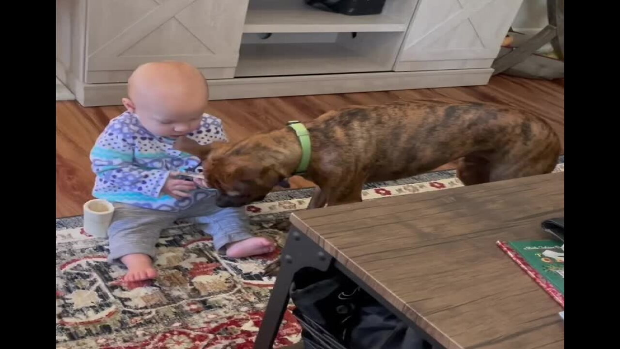 Patient Puppy Learns To Share Toys With Baby Best Friend