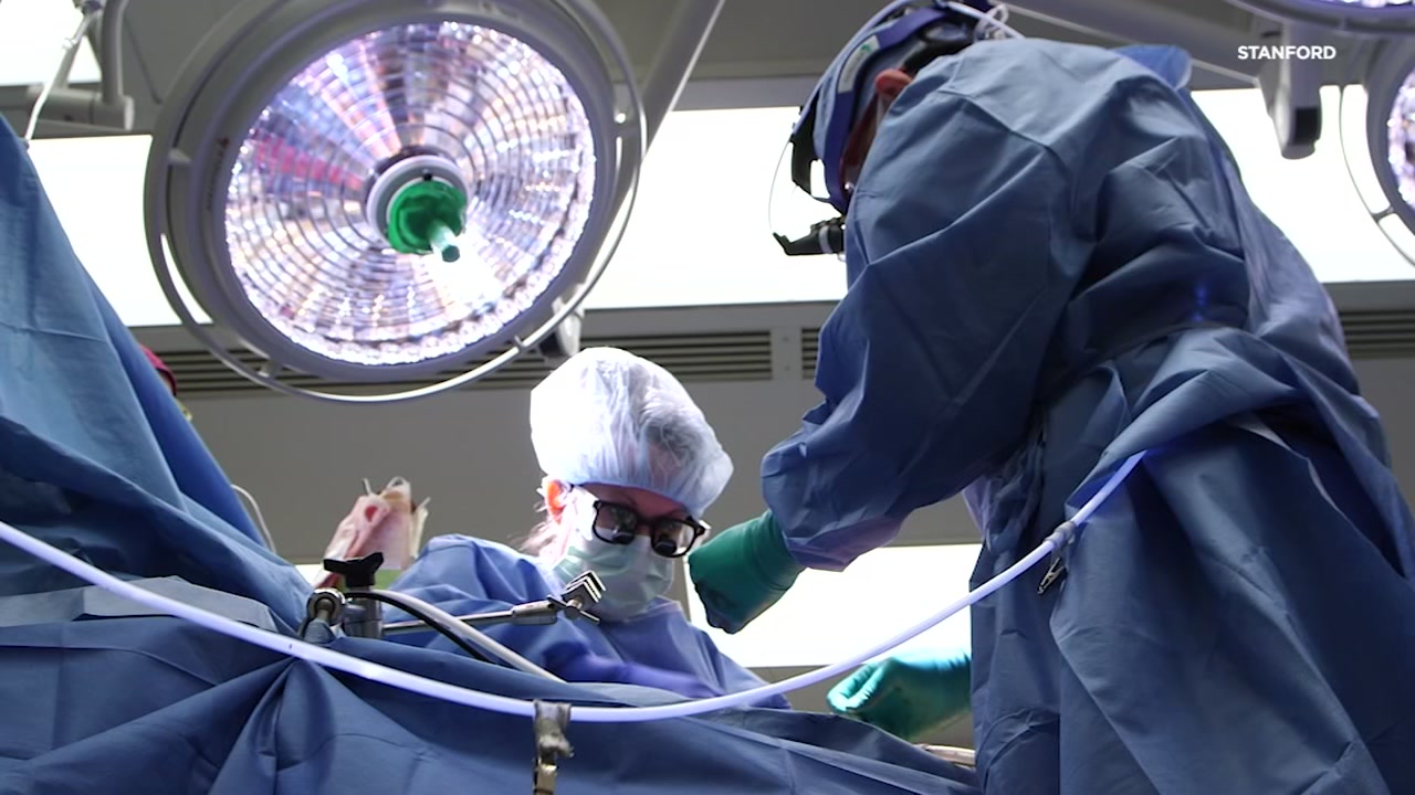 Stanford Surgeons Top Own Record With 86 Heart Transplants