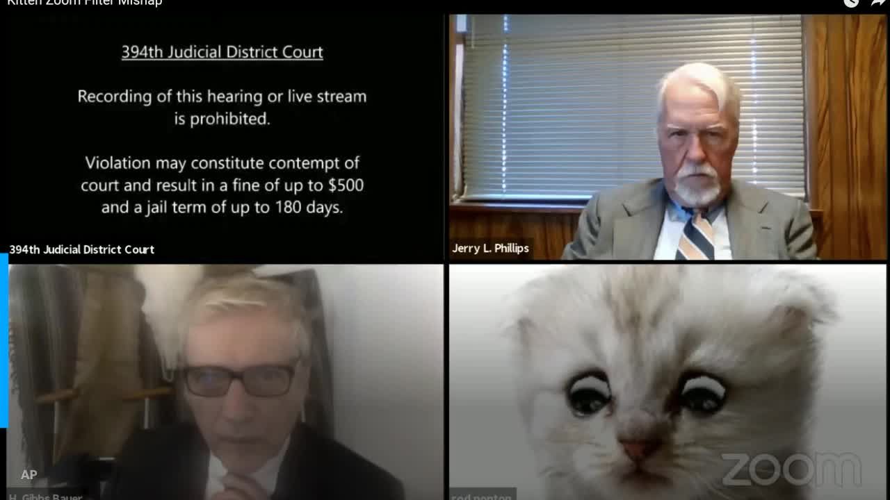 lawyer cat filter zoom video